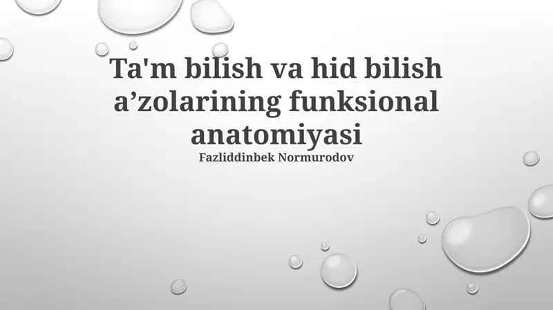 Ta'm bilish va hid bilish aʼzolarining funksional anatomiyasi