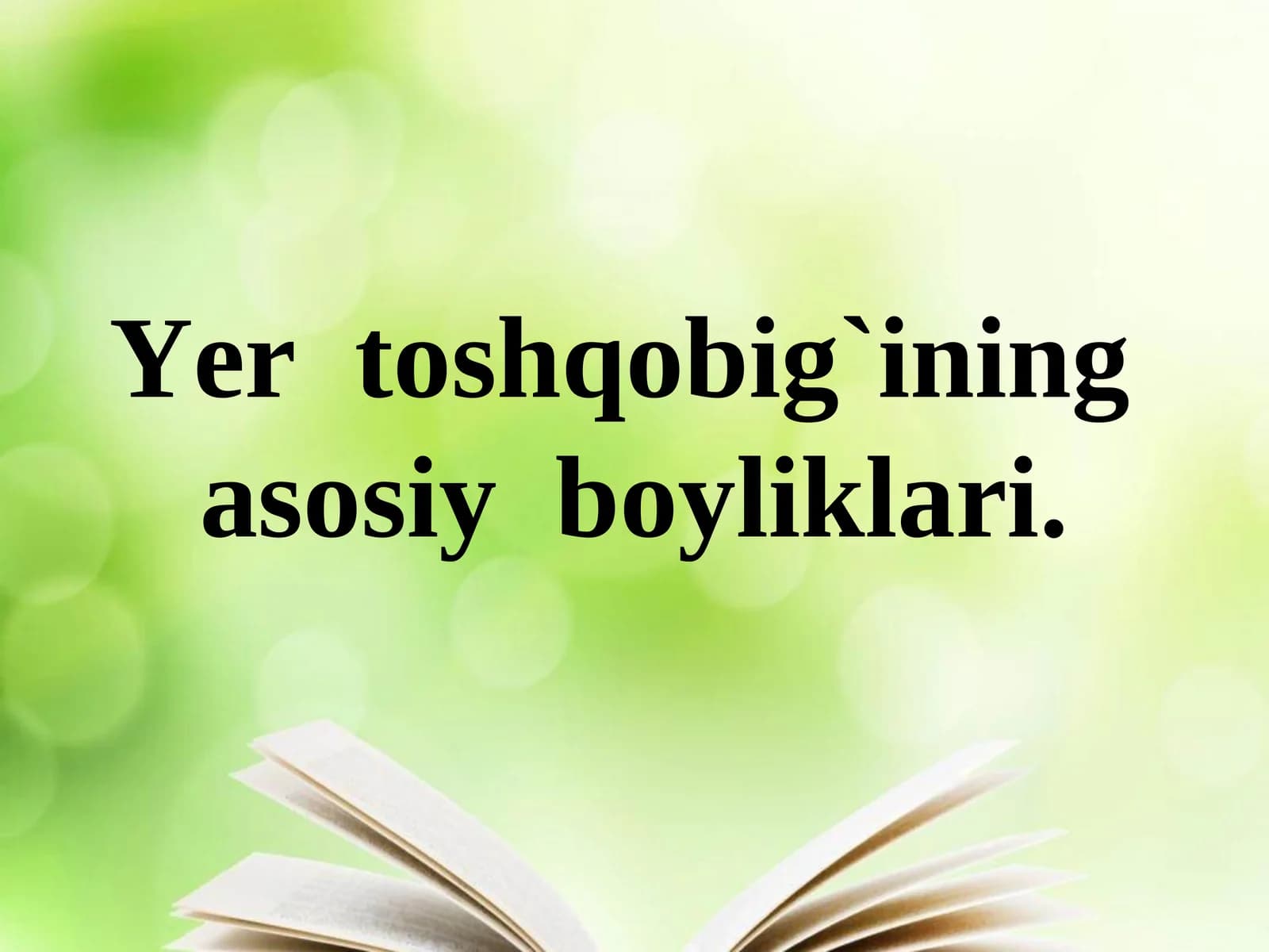 Yoqilg`i boyliklari