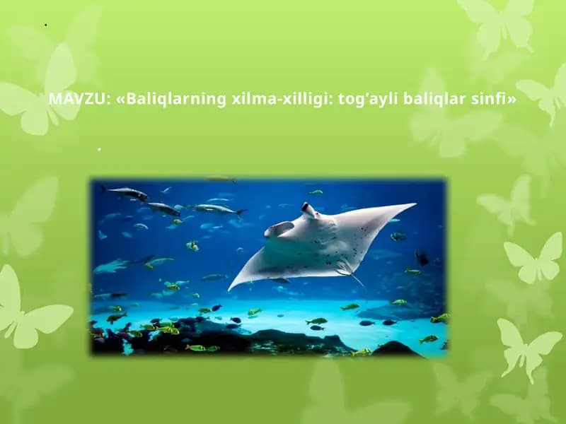 Baliqlarning xilma-xilligi: tog'aylibaliqlar sinfi