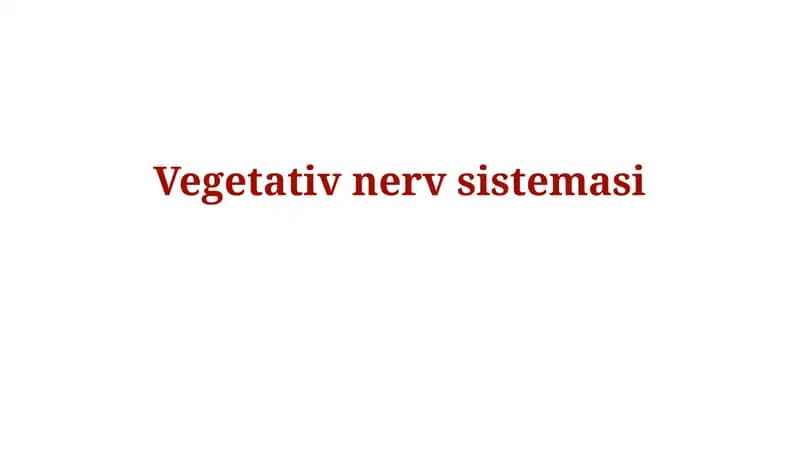 Avtonom nerv sistemasi anatomiyasi