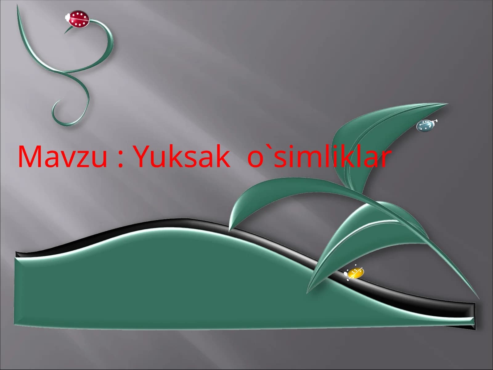 Yuksak o`simliklar