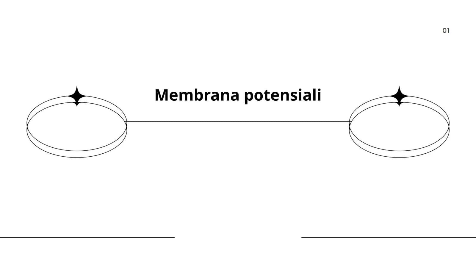 Membrana potensiali
