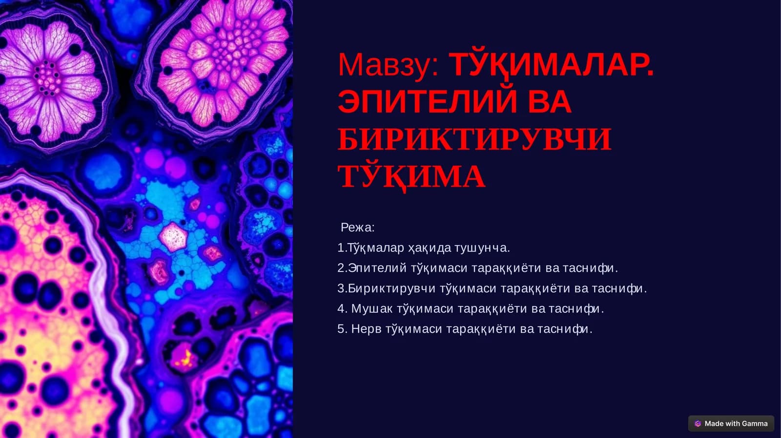 ЭПИТЕЛИЙ ВАБИРИКТИРУВЧИ ТЎҚИМА