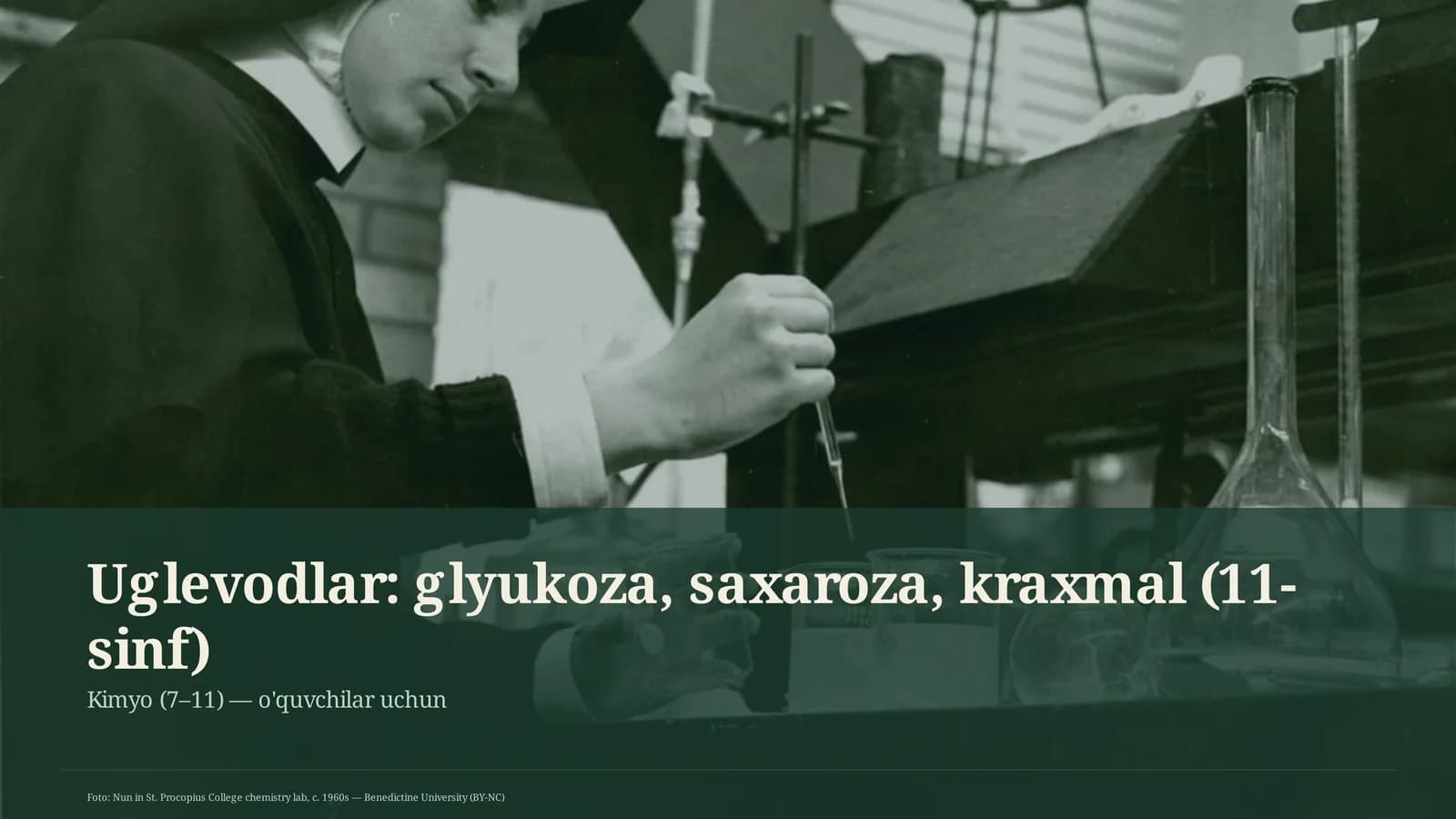 Uglevodlar: glyukoza, saxaroza, kraxmal (11-sinf)