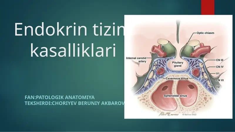 Endokrin tizim kasalliklari
