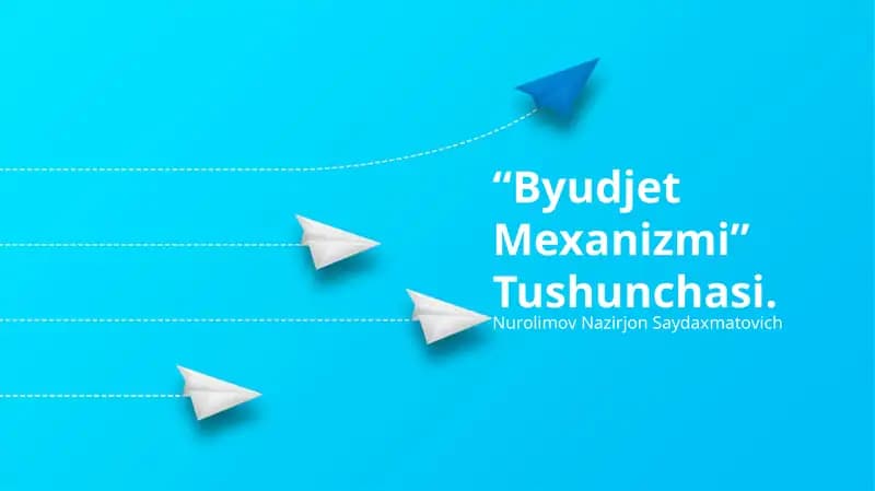 Byudjet Mexanizmi