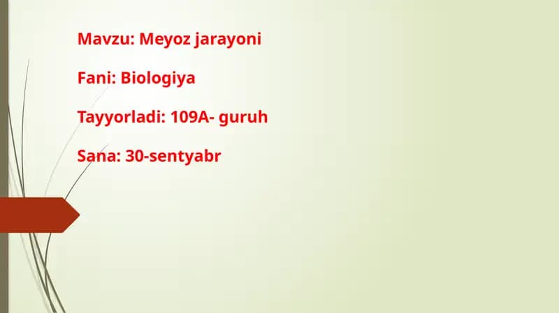 Meyoz jarayoni
