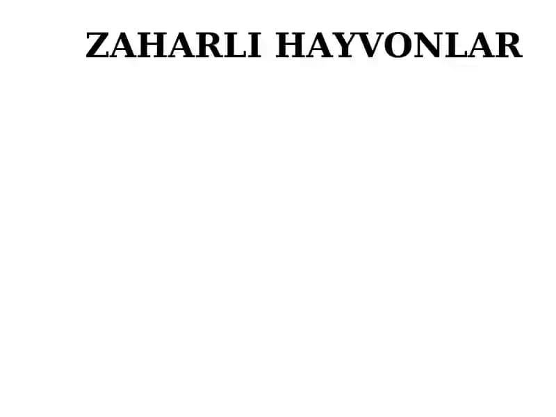 Zaharli hayvonlar