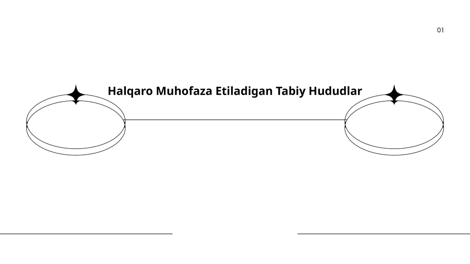 Halqaro Muhofaza Etiladigan Tabiy Hududlar