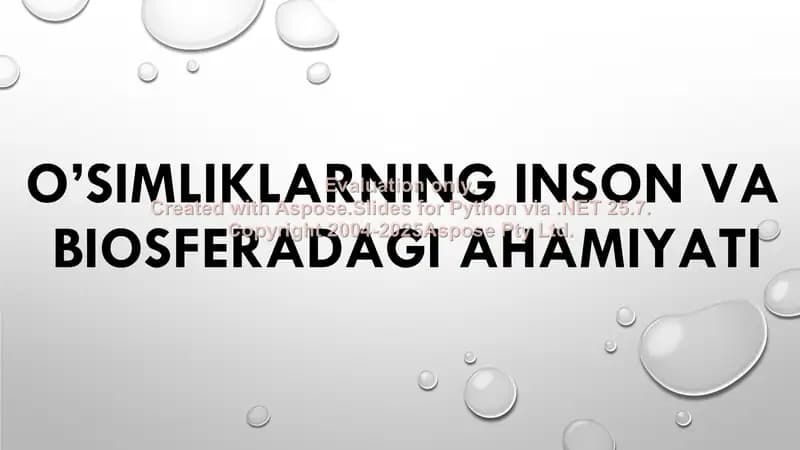 O’simliklarning inson va biosferadagi ahamiyati