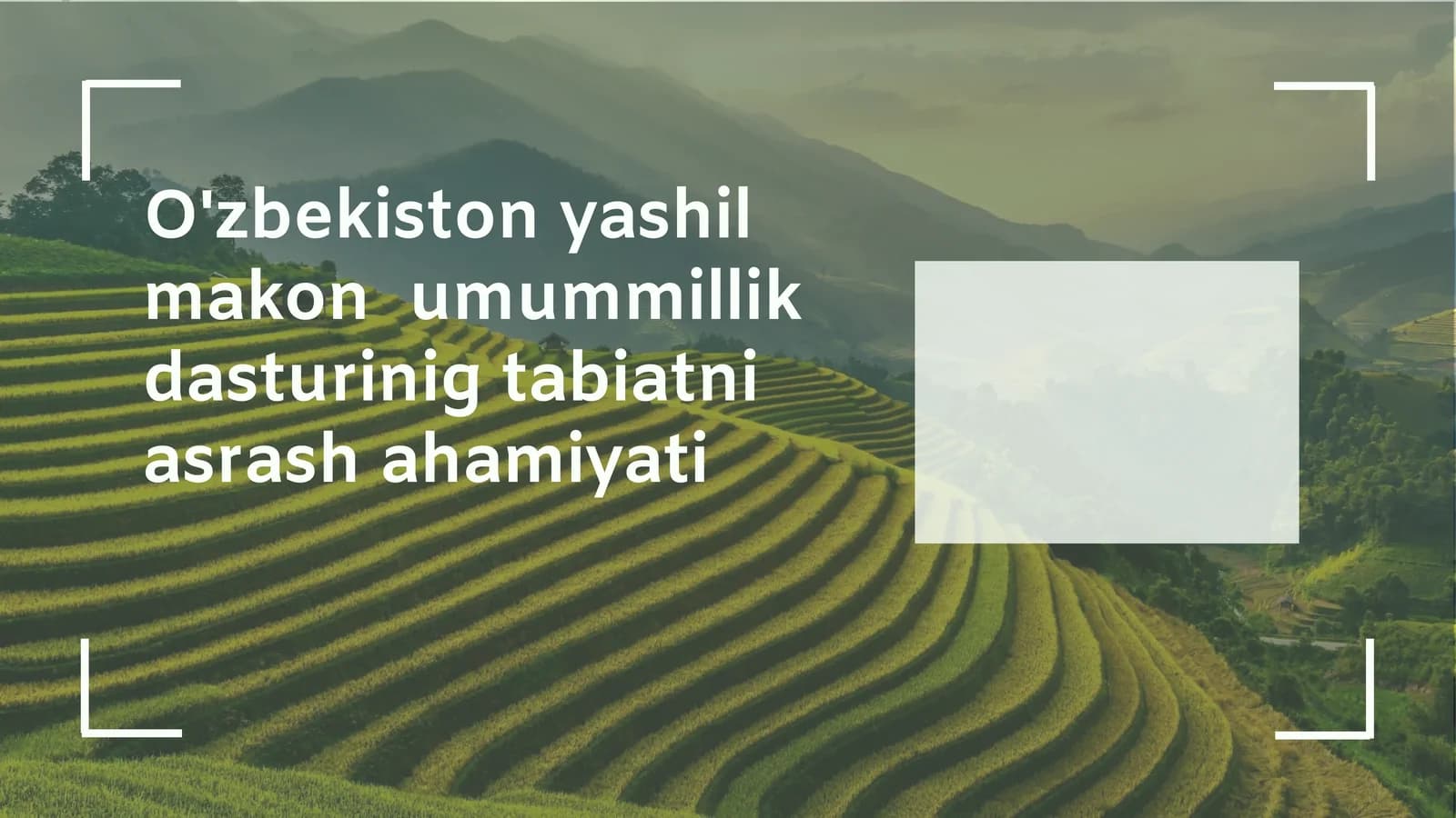 Yashil makonlarning ekologik va ijtimoiy ahamiyati