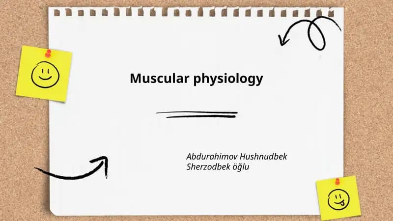 Muscular physiology