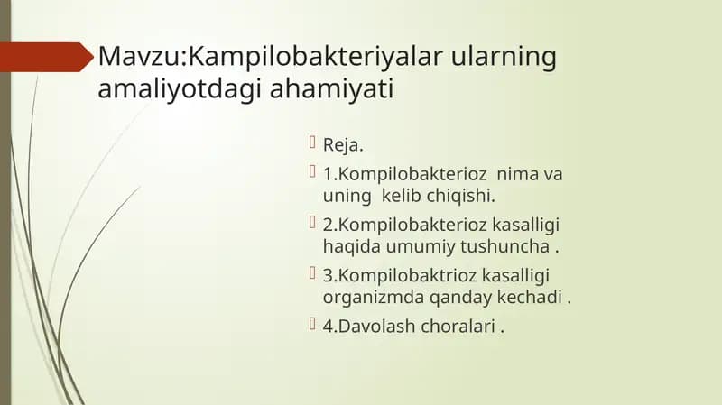 Kampilobakteriyalar ularning amaliyotdagi ahamiyati