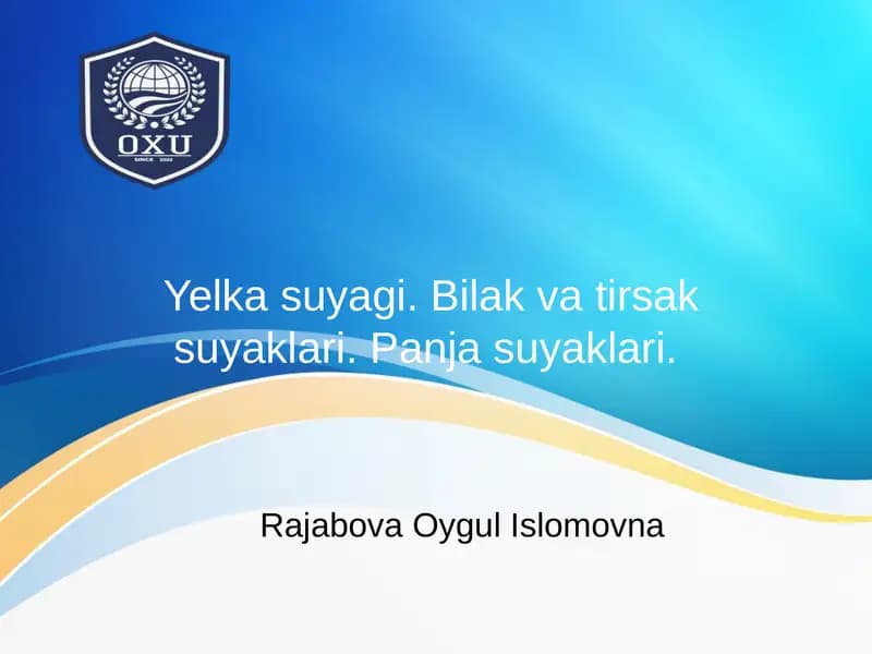 Yelka suyagi