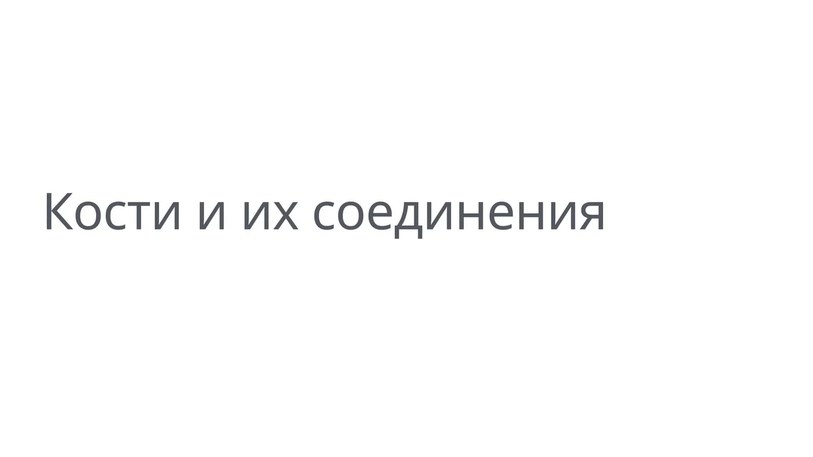 Кости и их соединения