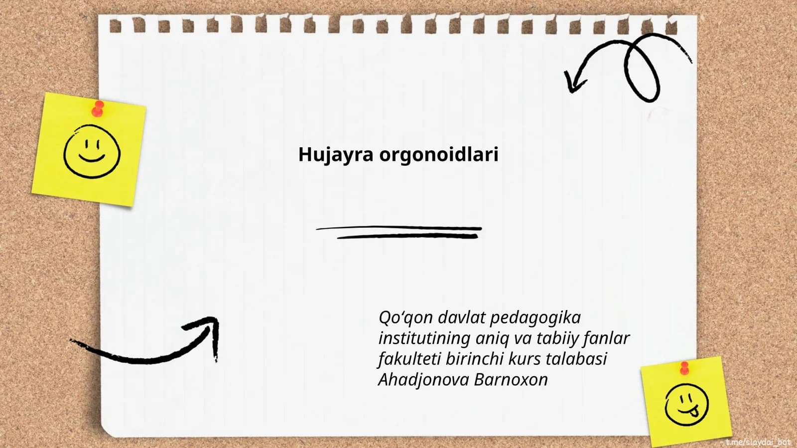 Hujayra orgonoidlari