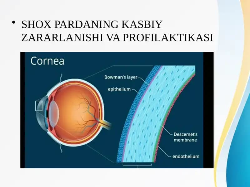 SHOX PARDANING KASBIY ZARARLANISHI VA PROFILAKTIKASI
