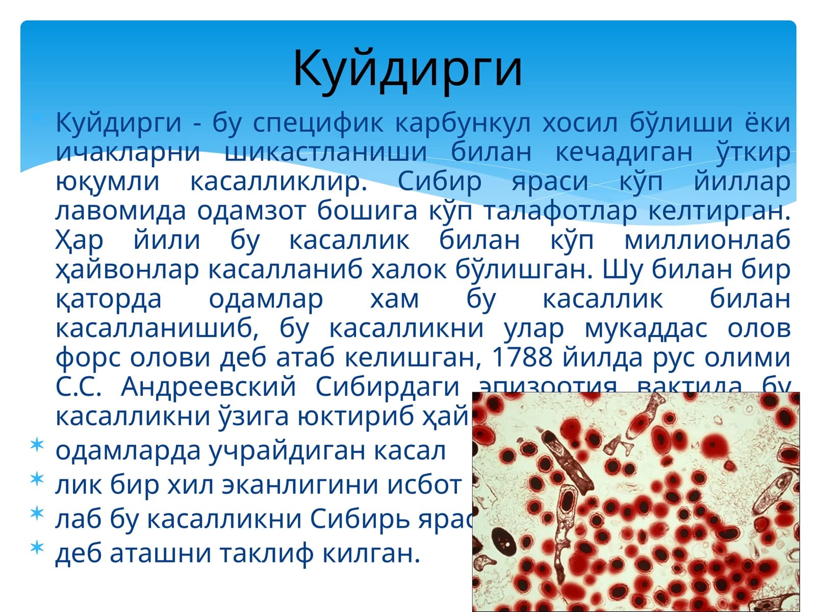 Сибиряраси