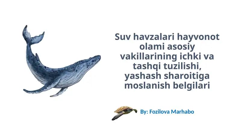 Suv Ekotizimning Tavsifi