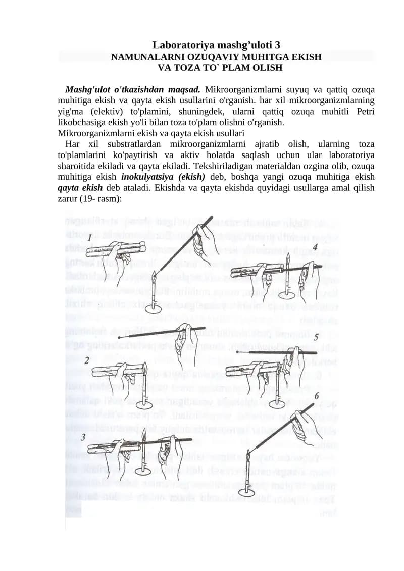 Laboratoriya mashg’uloti 3
