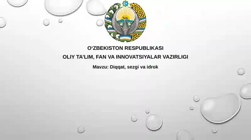 Diqqat, Sezgi, Idrok