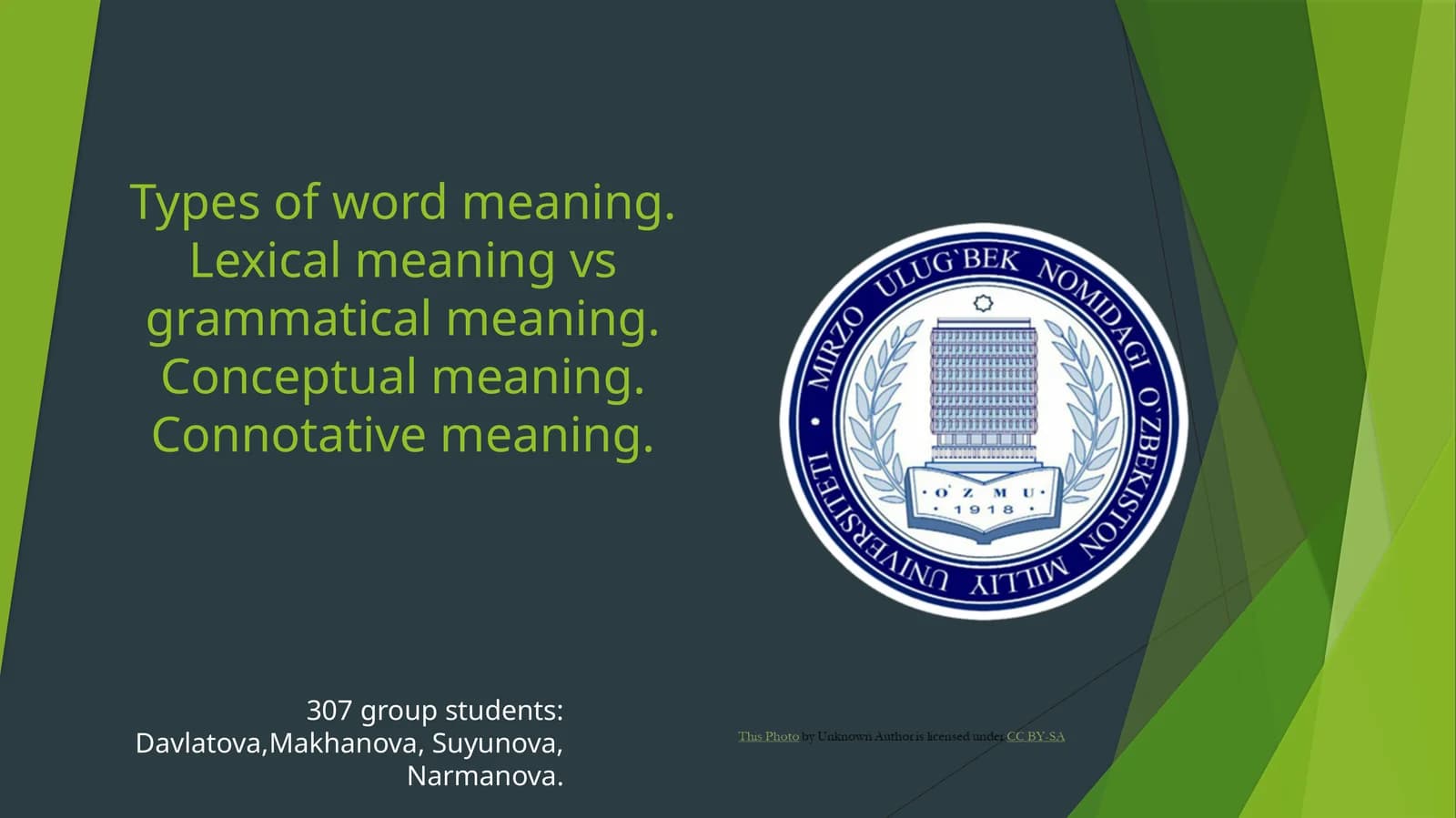 Type of word meaning