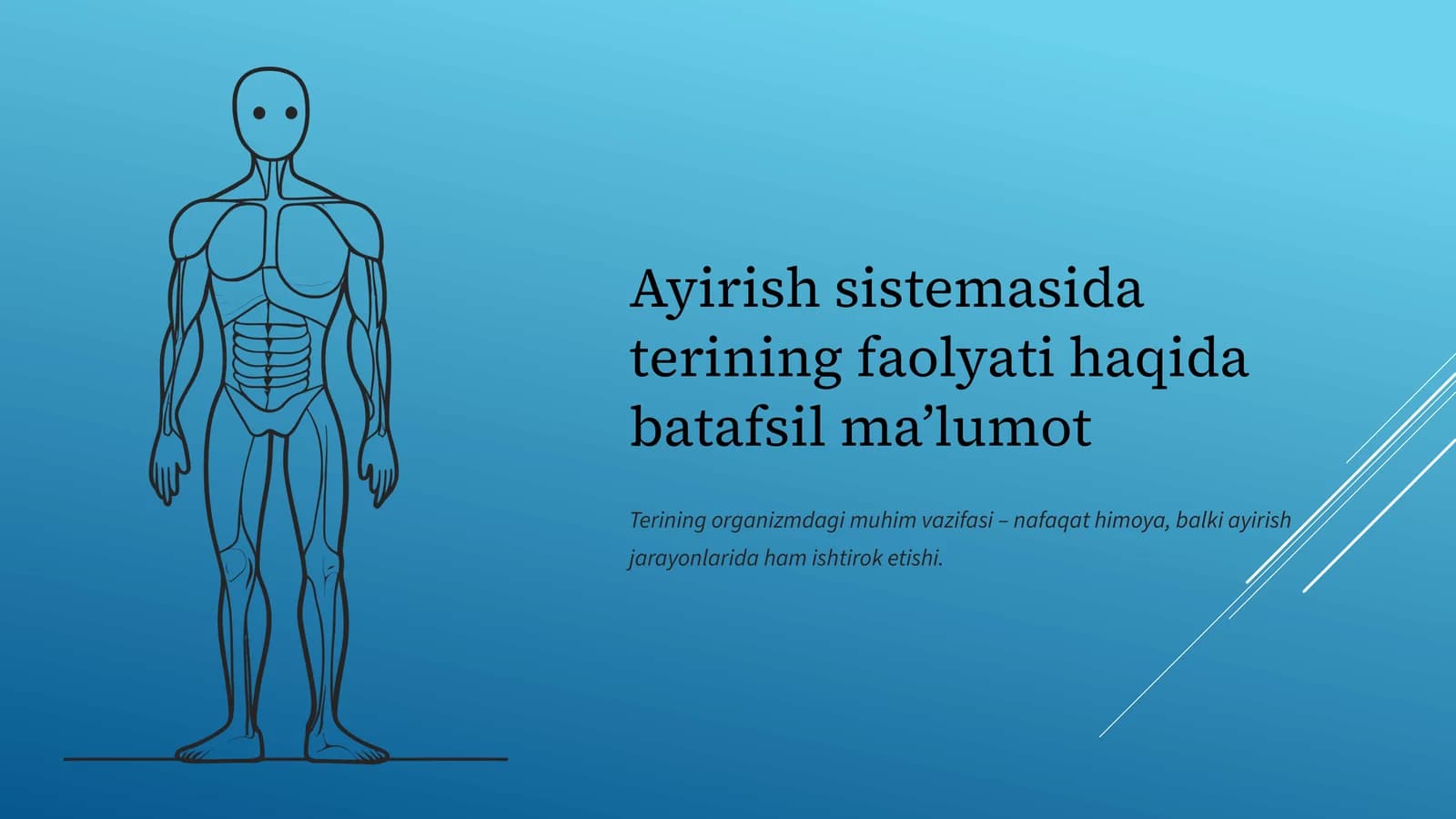 Ayirish sistemasining asosiy a'zolari