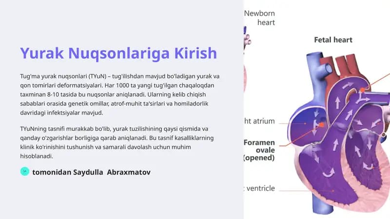 Yurak Nuqsonlariga Kirish