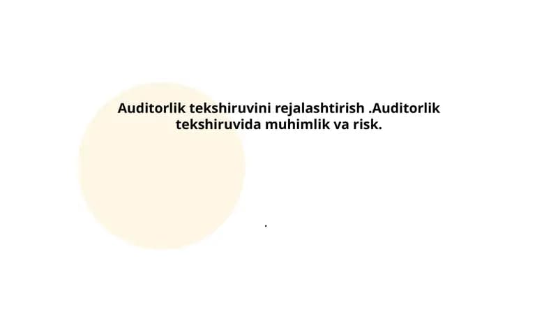 Auditorlik tekshiruvini rejalashtirish