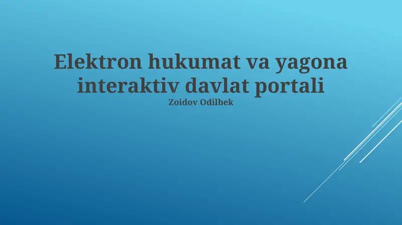 E-hukumat va yagona interaktiv davlat portali
