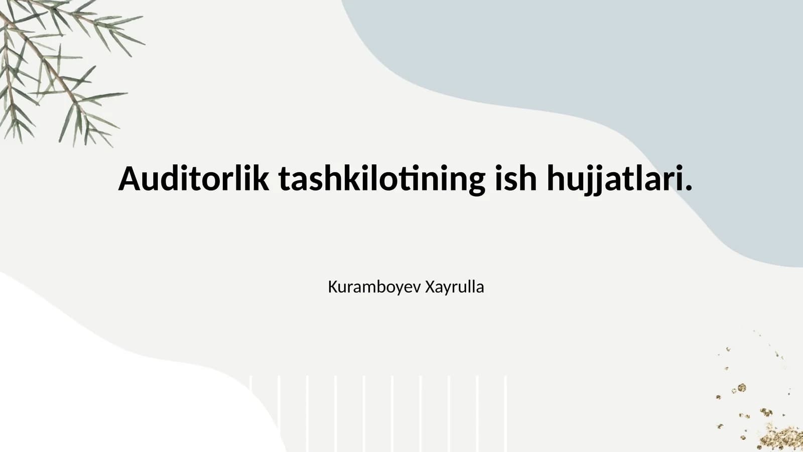 Auditorlik tashkilotining ish hujjatlari.