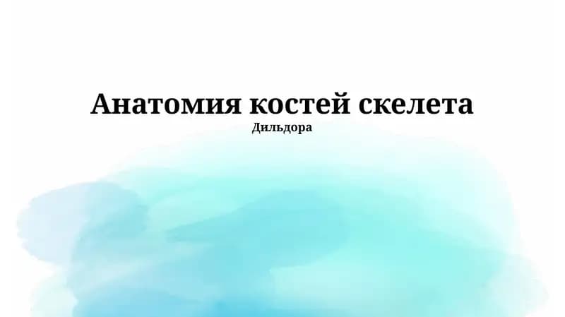 Анатомия костей скелета