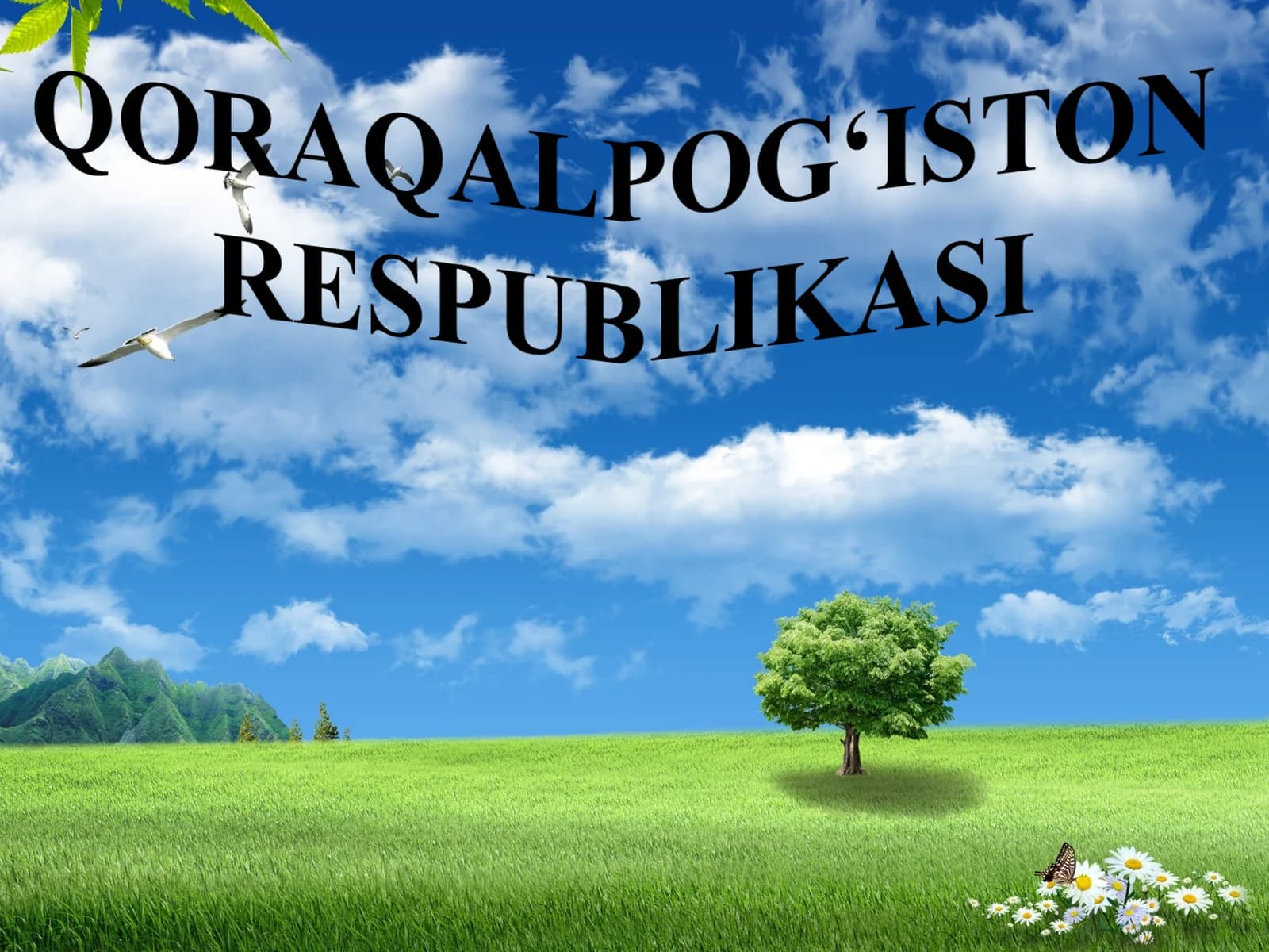 Qoraqalpog‘iston Respublikasi