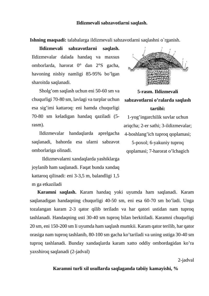Ildizmevali sabzavotlarni saqlash