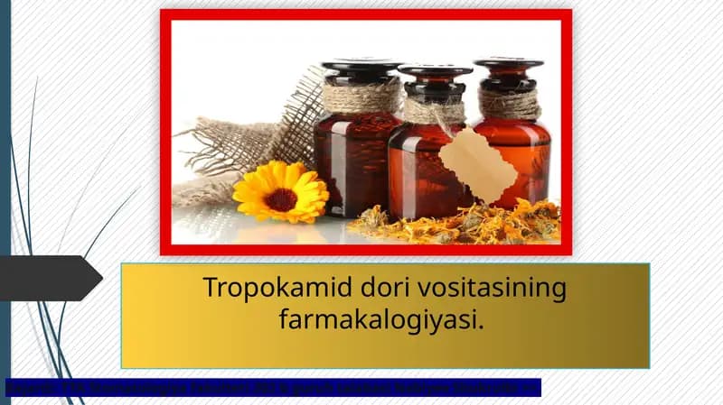 Суюқ дори шакллари
