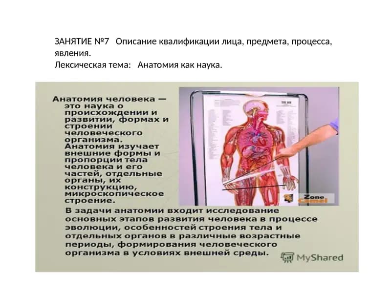 Анатомия и физиология
