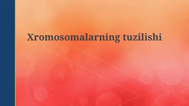Xromosomalarning tuzilishi