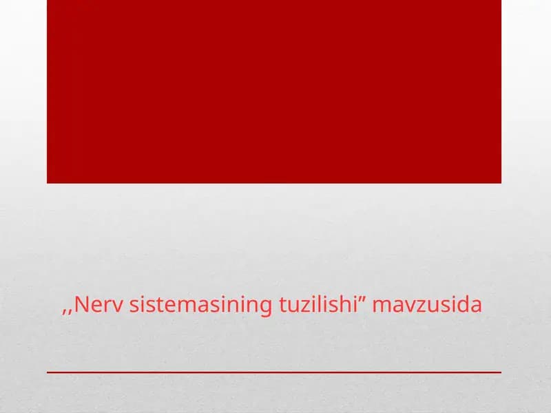 Nerv_sistemasining_tuzilishi