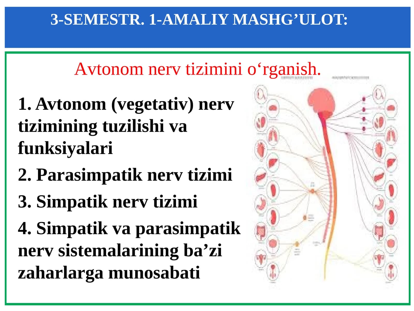 3-SEMESTR. 1-AMALIY MASHG’ULOT