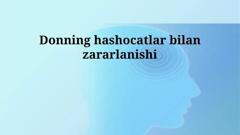 Donning hashocatlar bilan zararlanishi