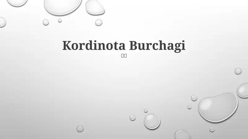 Koordinata Burchagi