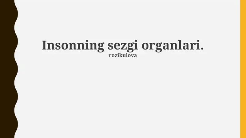 Insonning sezgi organlari