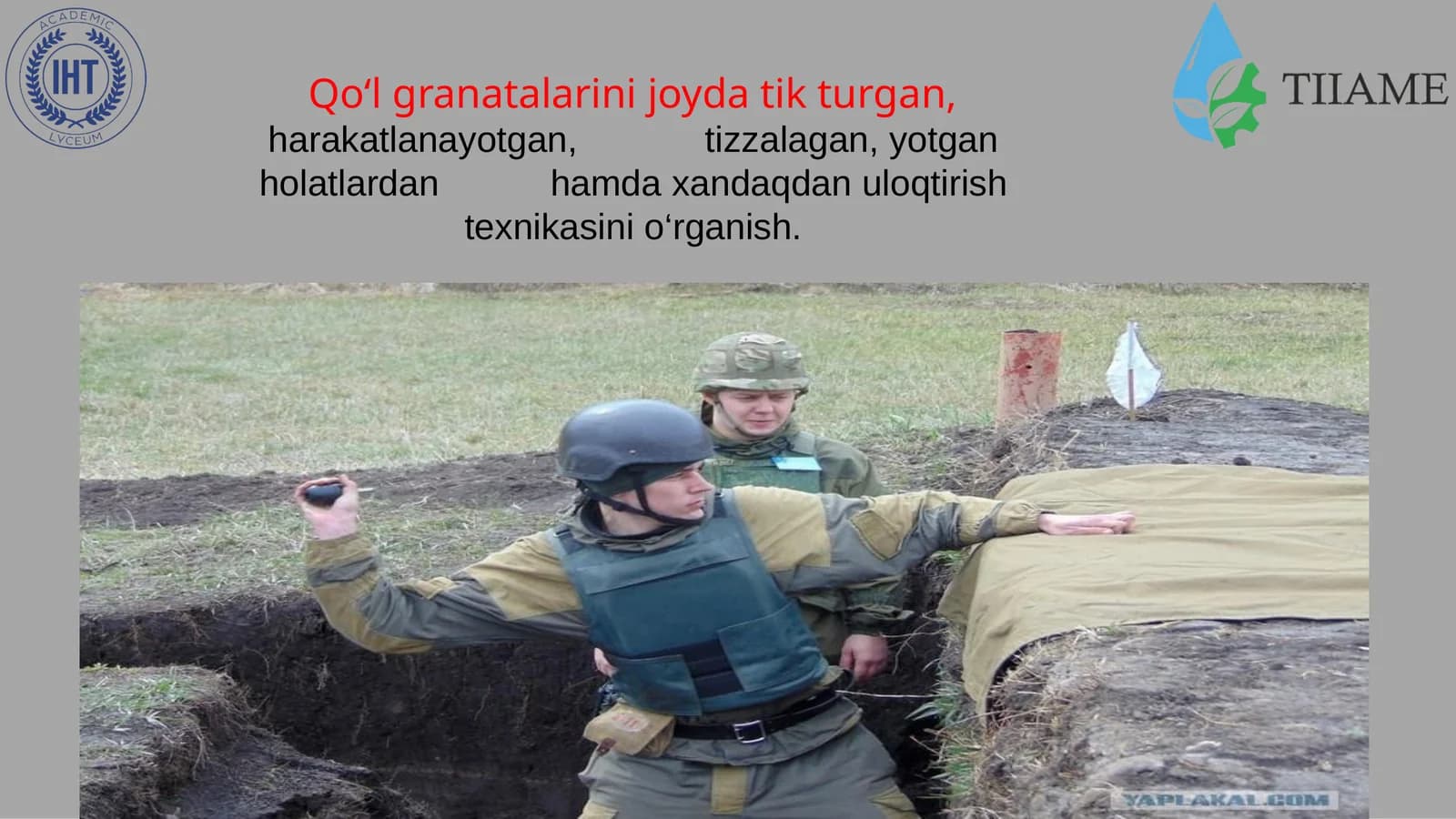 Jangovar granatalar