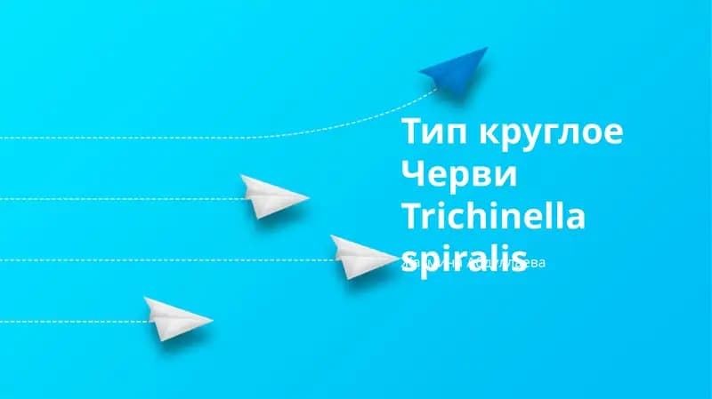 Тип круглое Черви