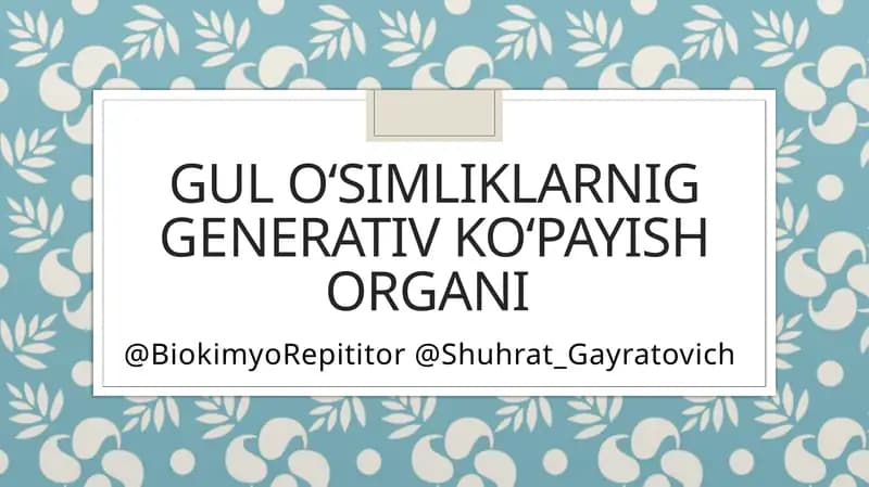 Gul o‘simliklarnig Generativ ko‘payish organi