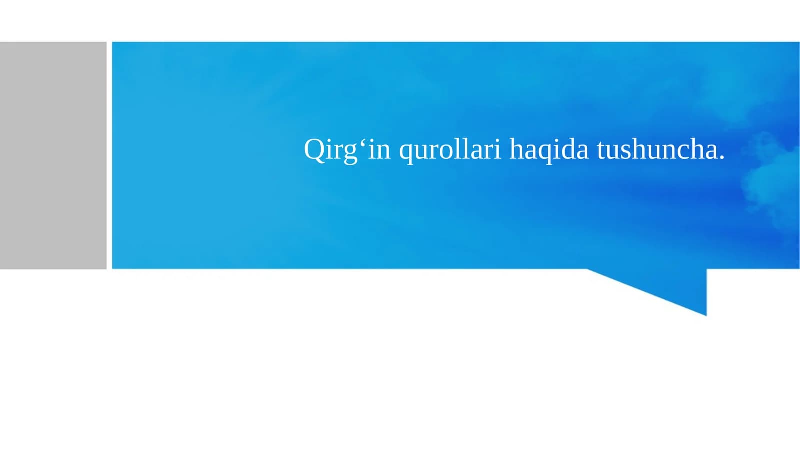 Qirg'in qurollari mustaqil ish