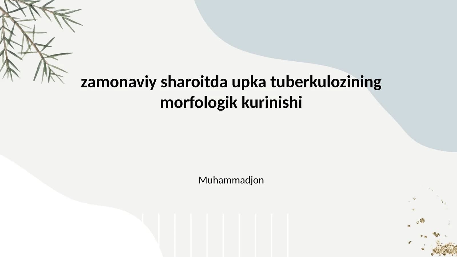 Morfologik upka tuberkulozining kurinishi