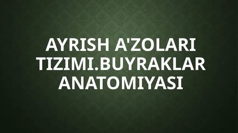 Ayrish a'zolari tizimi. Buyraklar anatomiyasi