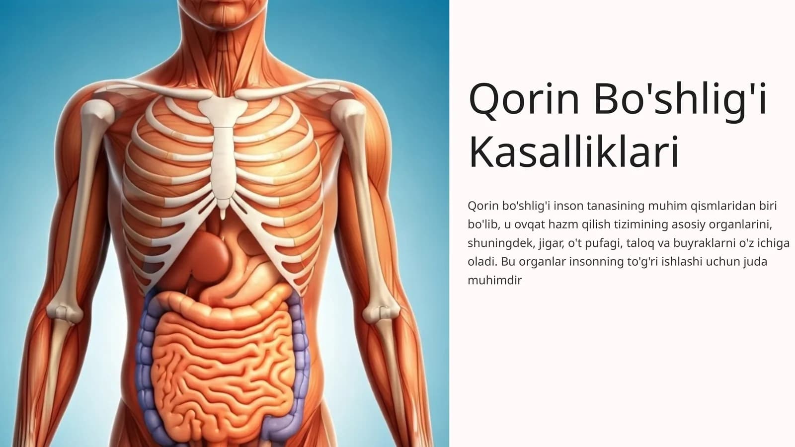 Qorin Bo'shlig'i Kasalliklari