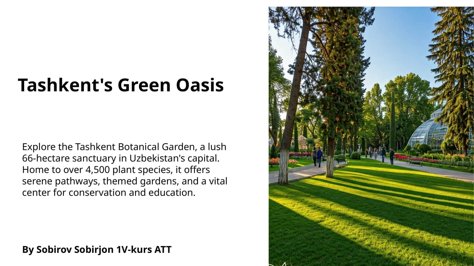 Tashkent's Green Oasis